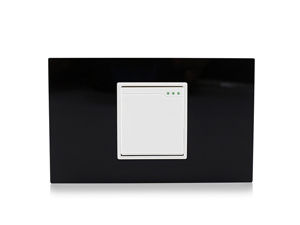 118T-02 1 Gang Wall Switch