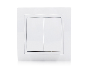 EU Standard Two Gang Switch